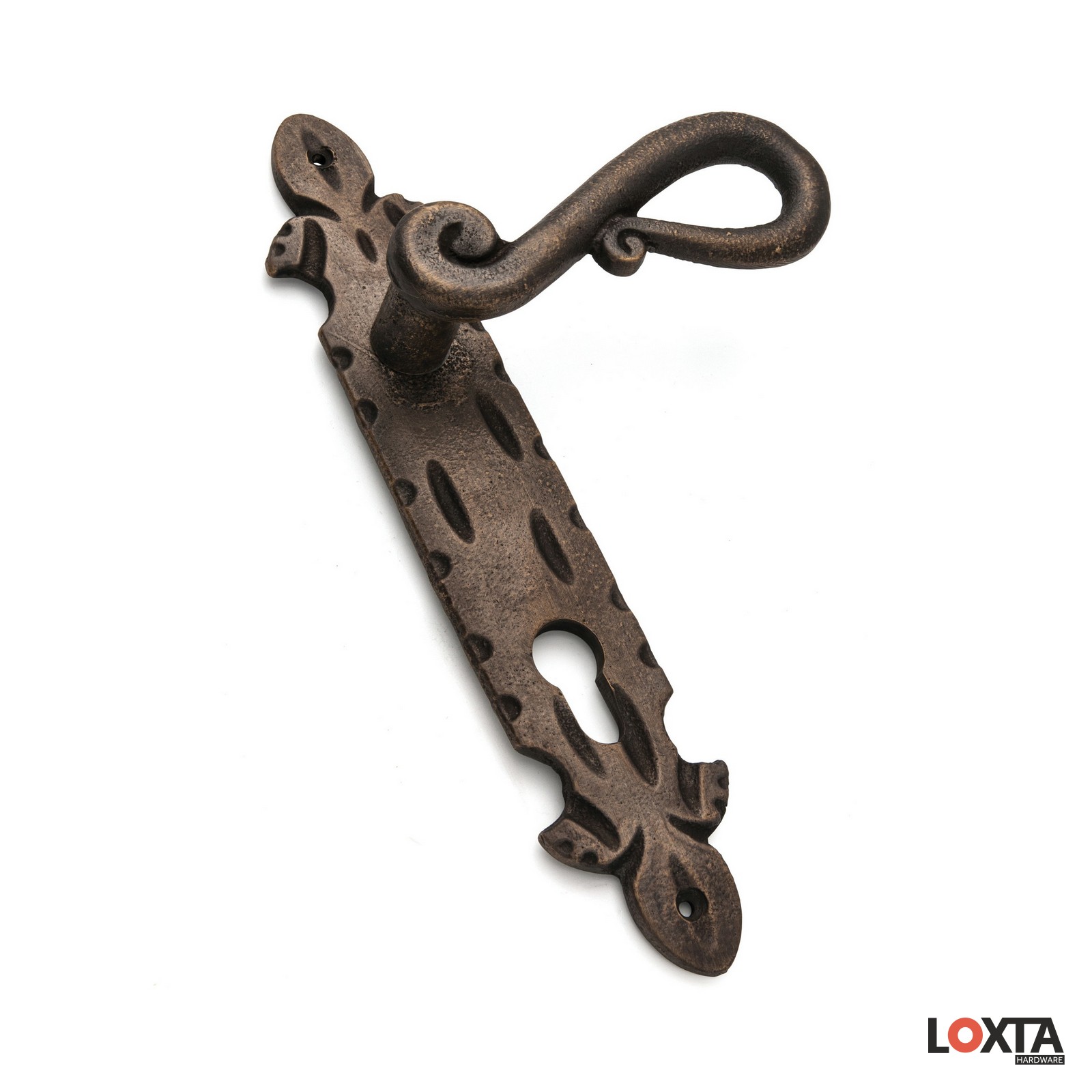 TT11011 Cottage Rustic Brass Premium Door Handle on Artisan Backplate