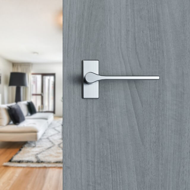 SK20010 Riya Door Handle on XL Narrow Style Backplate - AG
